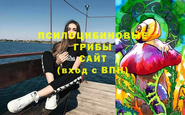 Альфа ПВП Зерноград